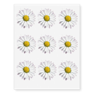 White and yellow wild daisy temporary tattoos