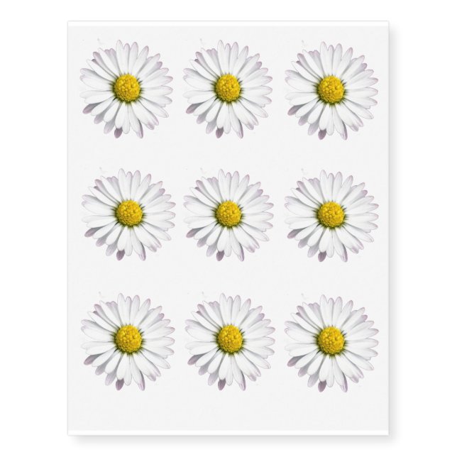 White and yellow wild daisy temporary tattoos (Front)