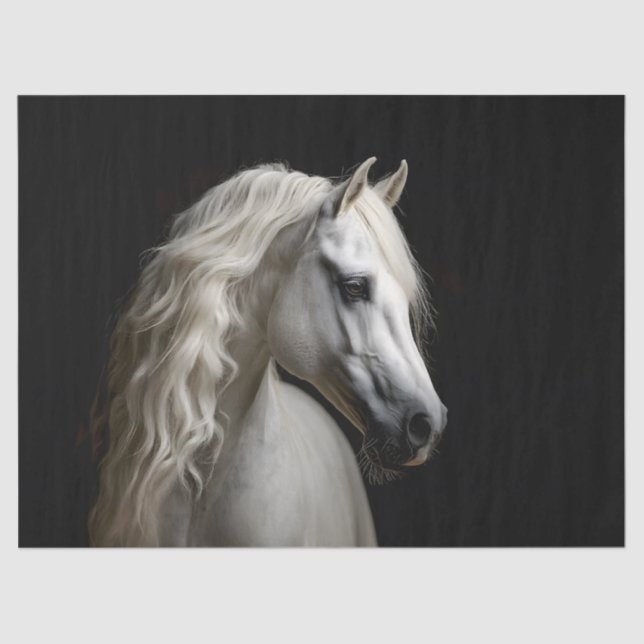 White Andalusian Stallion Decoupage Tissue Paper (Front)