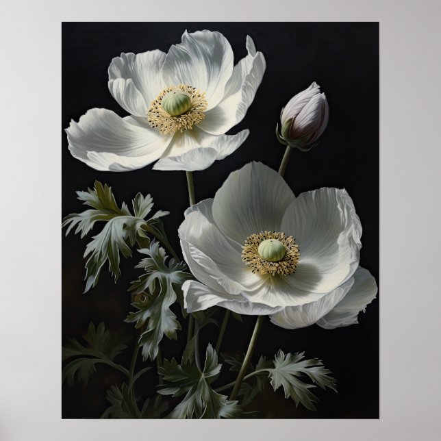 White Anemone Flowers Art Print Poster (Front)