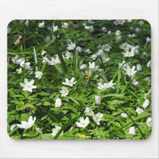White anemones in Bois d'Havré Mouse Pad