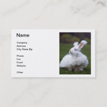 White Angora Rabbit Business Card by walkandbark at Zazzle