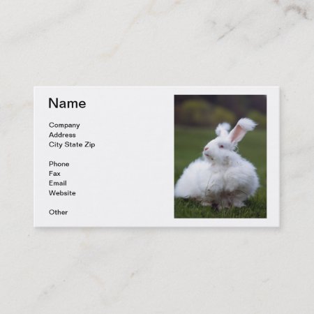 White Angora Rabbit Business Card