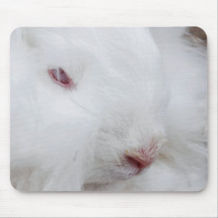 White Angora Rabbit Mouse Pad