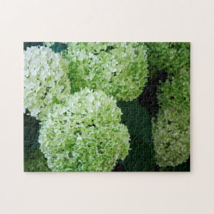 White Annabelle Hydrangeas Jigsaw Puzzle