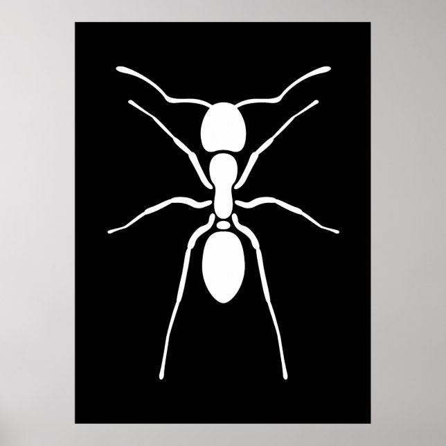 White Ant Poster (Front)