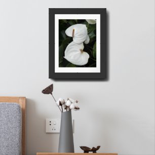 White Anthurium Blooms Floral Framed Art