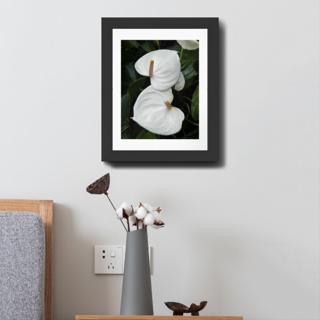White Anthurium Blooms Floral Framed Art (Bedside)