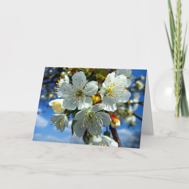 White apple blossom holiday card (Front)