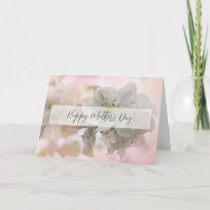 White Apple Blossom Photograph Mother's Day Card