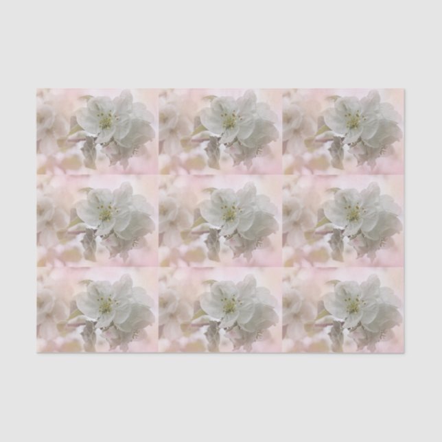 White Apple Blossom Photograph Patterned Tissue Paper (Front)
