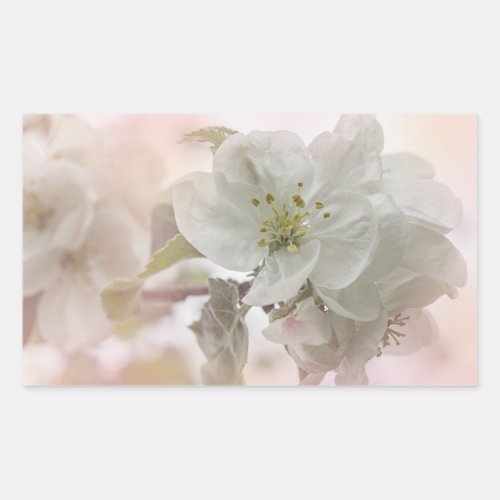 White Apple Blossom Photograph Rectangular Sticker