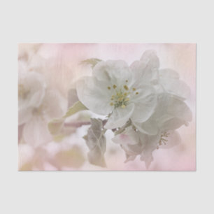 White Apple Blossom Photograph Tissue Paper