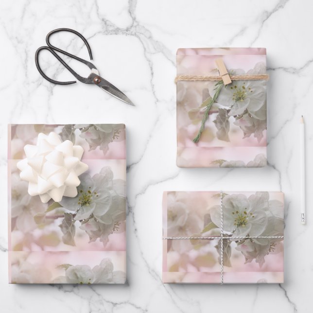 White Apple Blossom Photograph Wrapping Paper Sheets (Front)