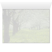 white Apple trees in the spring flowers (Inside Horizontal (Bottom))