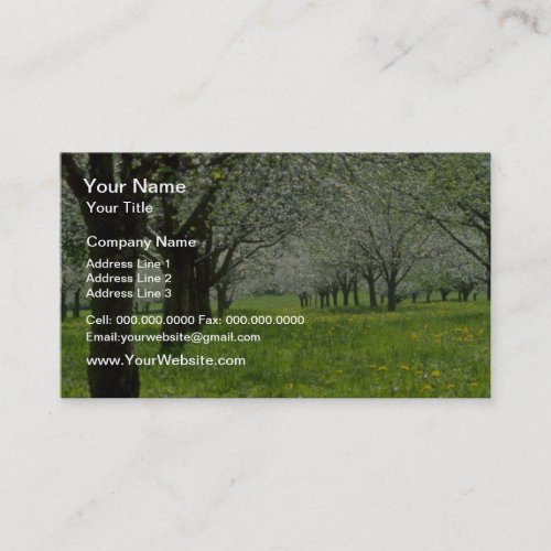 white Apple trees in the spring flowers Business Card Template