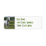 White Arab Horse Return Address Label