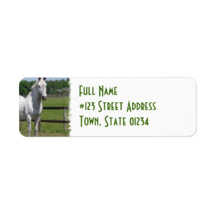 White Arab Horse Return Address Label