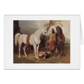 White Arabian (Front Horizontal)