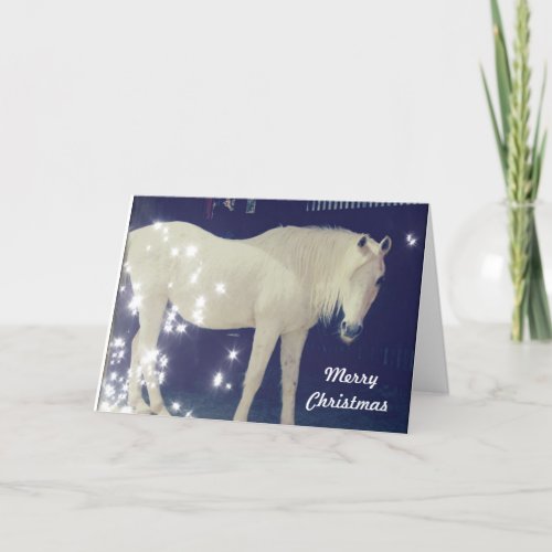 White Arabian Horse Christmas Card