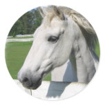 White Arabian Horse Sticker