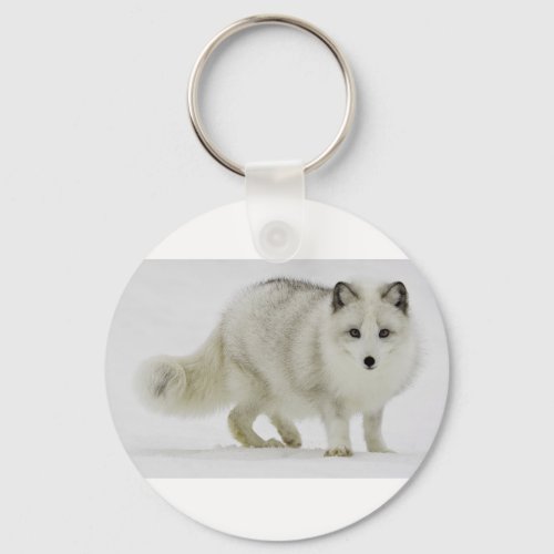 White Arctic Fox Blends Into The Snow Keychain