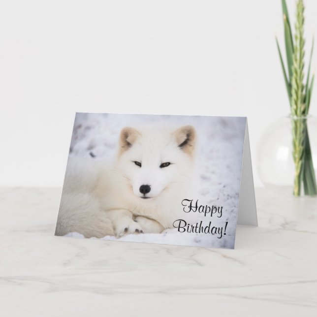 White arctic fox card (Front)