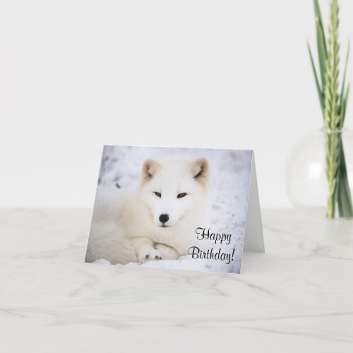 White arctic fox card