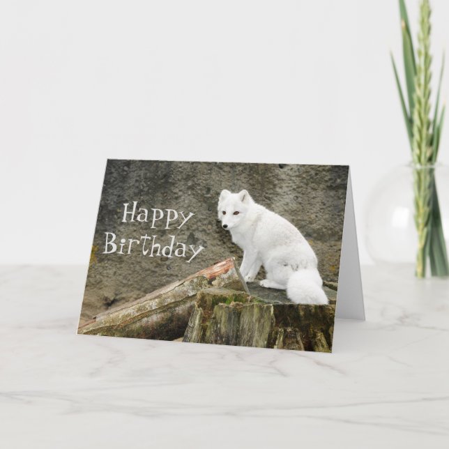White arctic fox card (Front)