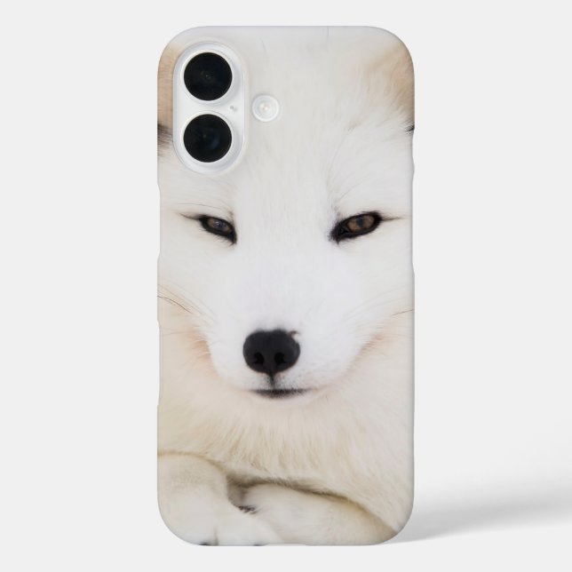 White arctic fox Case-Mate iPhone case (Back)