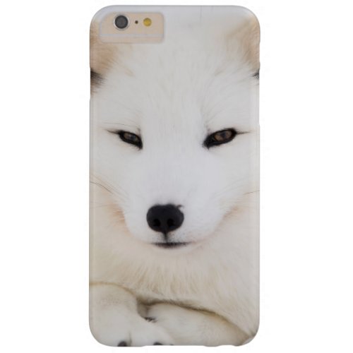 White arctic fox barely there iPhone 6 plus case