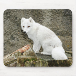 White arctic fox mousepad