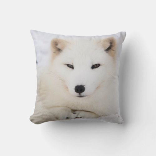 White arctic fox snow cute throw pillow