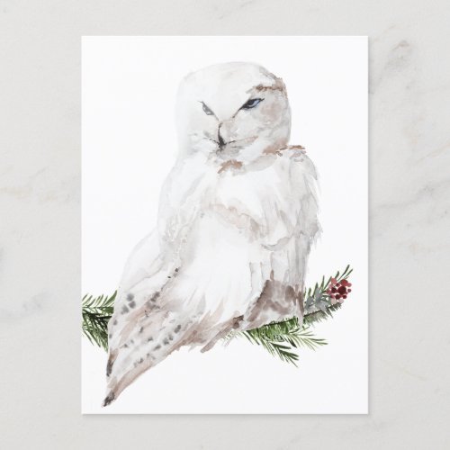 White Arctic Snowy Owl Postcard