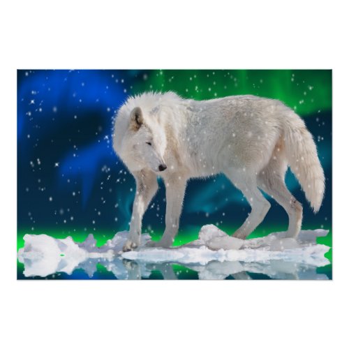 White Arctic Wolf  Northern Lights Wildlife Art Poster