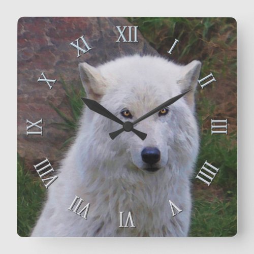 White Arctic Wolf Wildlife Art Clock