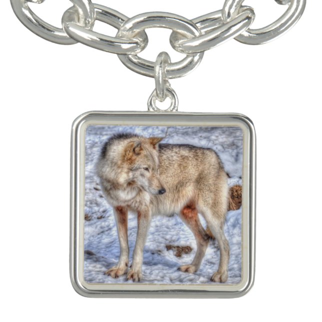 White Arctic Wolf Wildlife & Snow Photo Bracelet (Design)
