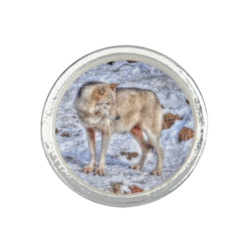 White Arctic Wolf Wildlife  Snow Photo Ring