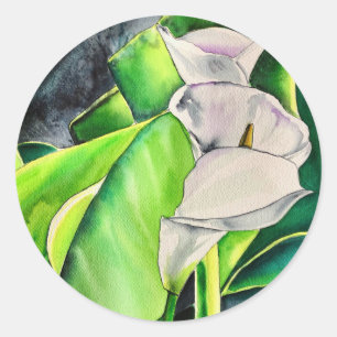 White Arum Lily watercolor tropical floral Classic Round Sticker