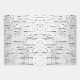 White, as in Birch Bark Photo Wrapping Paper Sheets