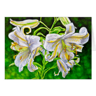 White Asiatic Lilies Cards