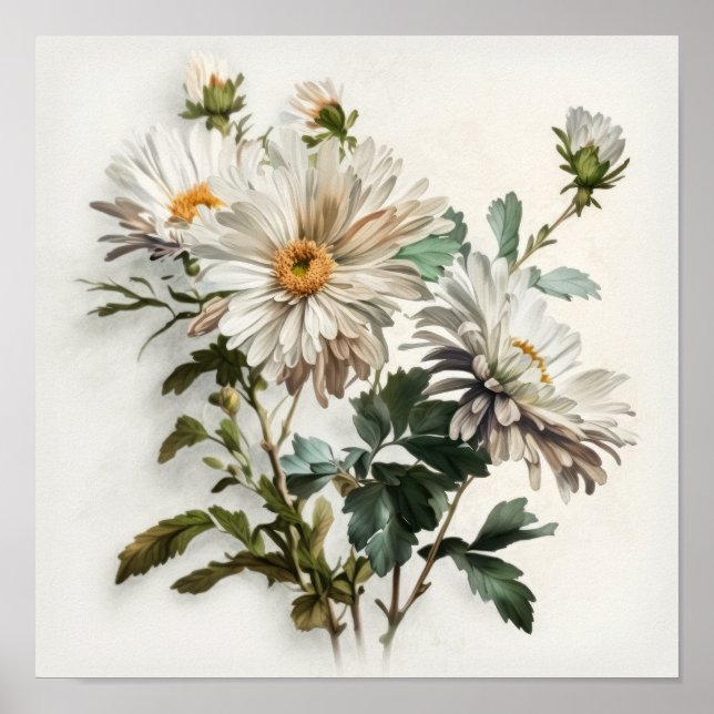 White Aster Flower Art Print Poster (Front)