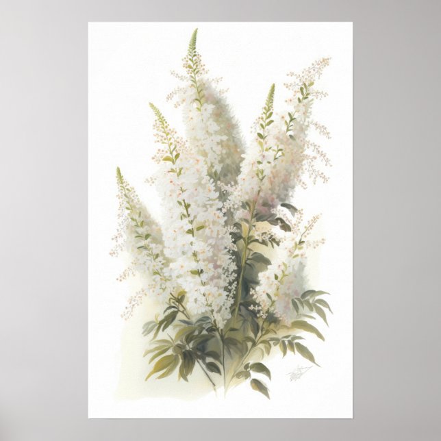 White Astilbe Flower Art Print Poster (Front)