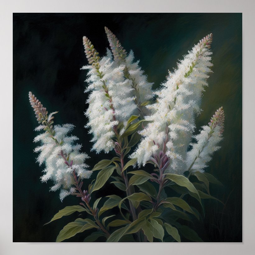 White Astilbe Flower Art Print Poster (Front)