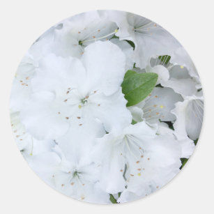 White Azalea Blossom Floral Photo Classic Round Sticker