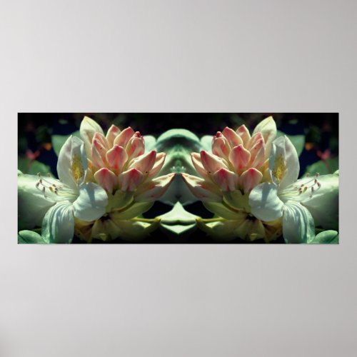White Azalea Flower And Bud Mirror Abstract Poster