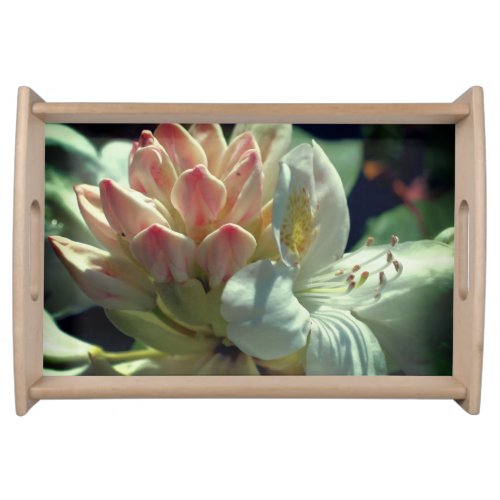 White Azalea Flower Blossom And Bud Serving Tray