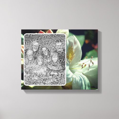 White Azalea Flower Create Your Own Photo Canvas Print