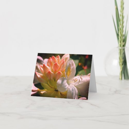 White Azalea Flower Customizable Note Card