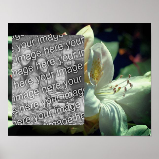 White Azalea Flower Frame Add Your Photo Poster (Front)